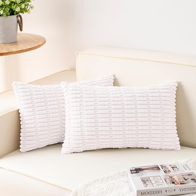 Aegero Pack of 2 Corduroy Decorative Throw Pillow Covers 12x20 Inch Soft by Unknown