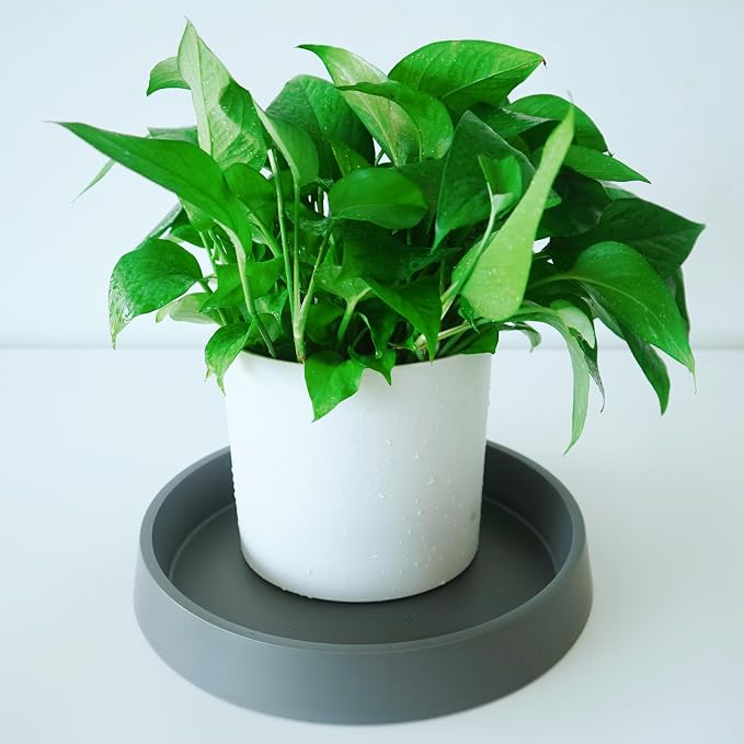 Plant Saucer Tray for Ceramic Plastic Pots, 18 inch Plant Saucers for Indoors - Image 5