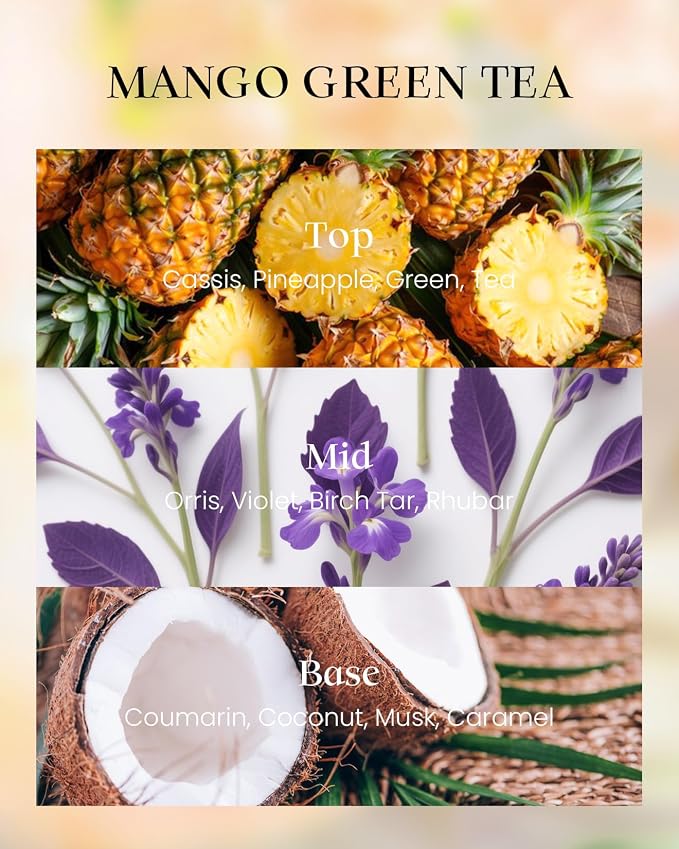 M&SENSE Tea Scented Candles, Vegan Soy Wax, Naturally Scented Mango Green Tea - Image 3