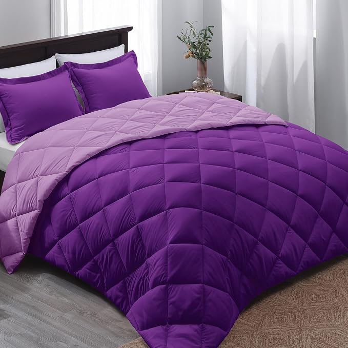 Basic Beyond Purple Twin Comforter Set by BasicBeyond