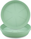 LWALRS Plant Saucer 8 Inch 4 Pack 6 8 10 12 14 16 18 20 25, Plastic Plant Trays by LWALRS
