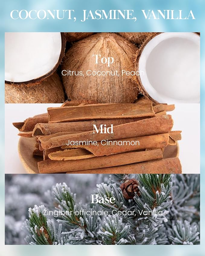 M&SENSE Coconut Beach Scented Candles Large Summer Candle, Natural Soy Candles - Image 4
