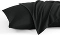 NTBAY Queen Pillow Cases Set, 2 Pack Brushed Microfiber 20x30 Inches, Stain by NTBAY
