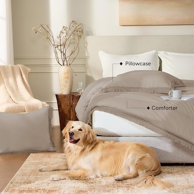 Andency California King Comforter Set Khaki - Image 6