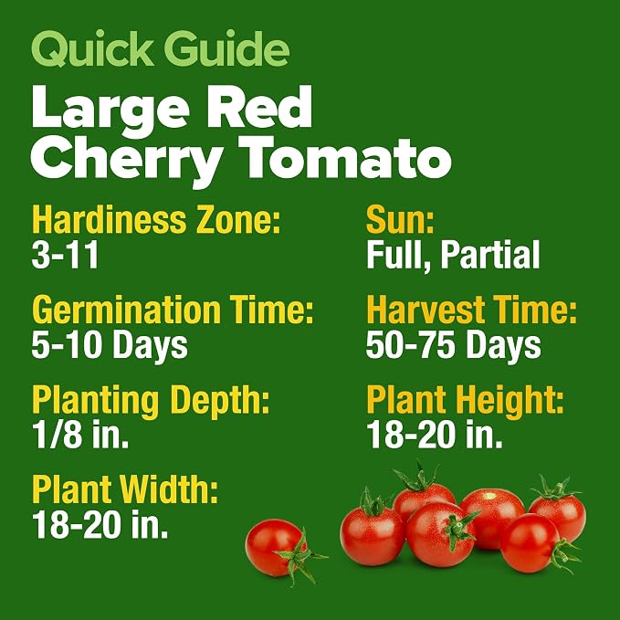 HOME GROWN Large Red Cherry Tomato Seeds 1000+ Heirloom Non-GMO Seeds - Image 5