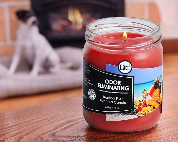 Tropical Fruit Two Pack Odor Eliminating Highly Fragranced Candle - Image 3