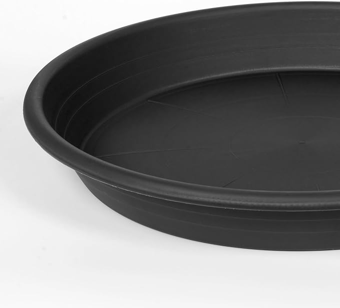 6 Pack Plant Saucer 8 inch, Heavy Duty Plastic Plant Water Tray, Planter Saucers - Image 8