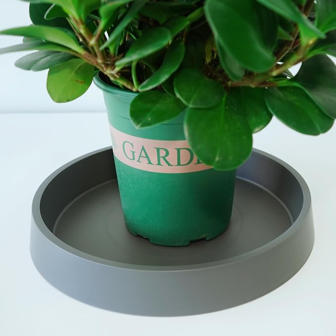 Plant Saucer Tray for Ceramic Plastic Pots, 20 inch Plant Saucers for Indoors - Image 4