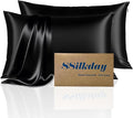 Mulberry Silk Pillow Cases Queen Size Set of 2, Ultra Smooth Soft Breathable by Unknown