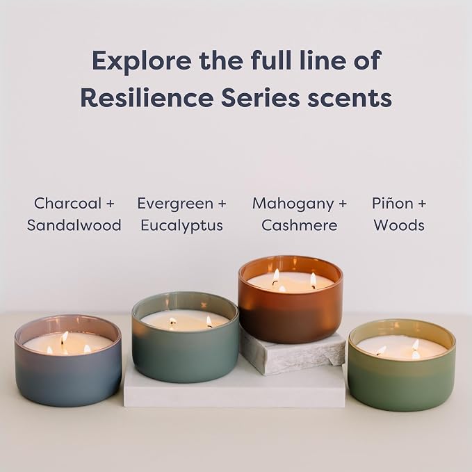 Calyan Wax Co. Mahogany & Cashmere 3 Wick Scented Candle - Image 8