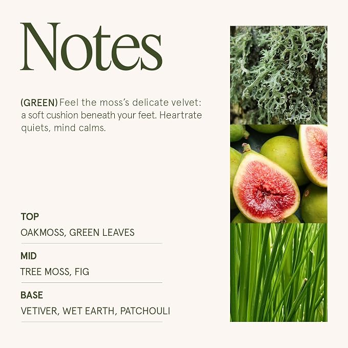 LA JOLIE MUSE Kyoto Vine & Moss Candle - Image 4