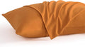 NTBAY Queen Pillow Cases Set, 2 Pack Brushed Microfiber 20x30 Inches, Stain by NTBAY