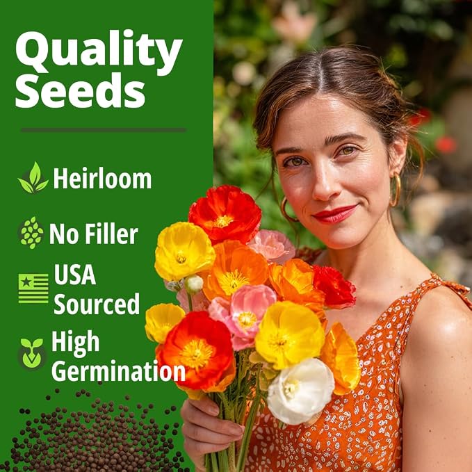 HOME GROWN California Poppy Mission Bells 2200 Seeds – Flower Seeds - Image 5