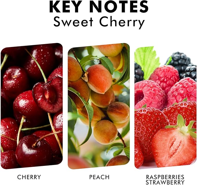 Xcleen Reed Diffuser Set, Sweet Cherry Oil Diffusers - Image 2