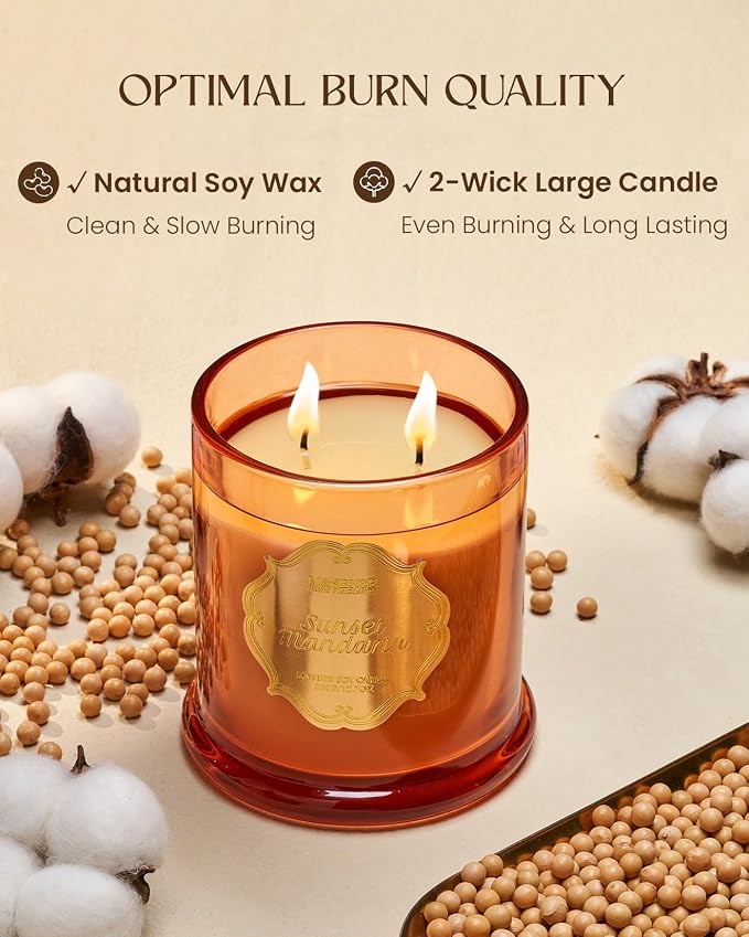 M&SENSE Citrus Candles for Home Scented, Natural Organic Soy Candle 12.7oz 75 - Image 4