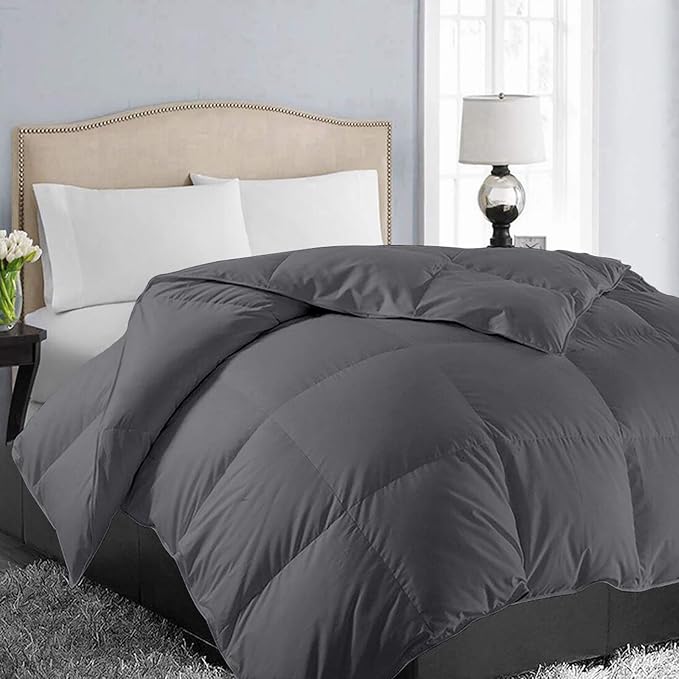 EASELAND Oversized King Down Alternative Comforter by EASELAND