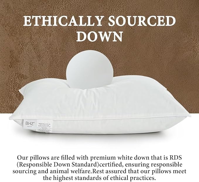 BHZ Goose Down Feather Pillows Queen Size - Image 2