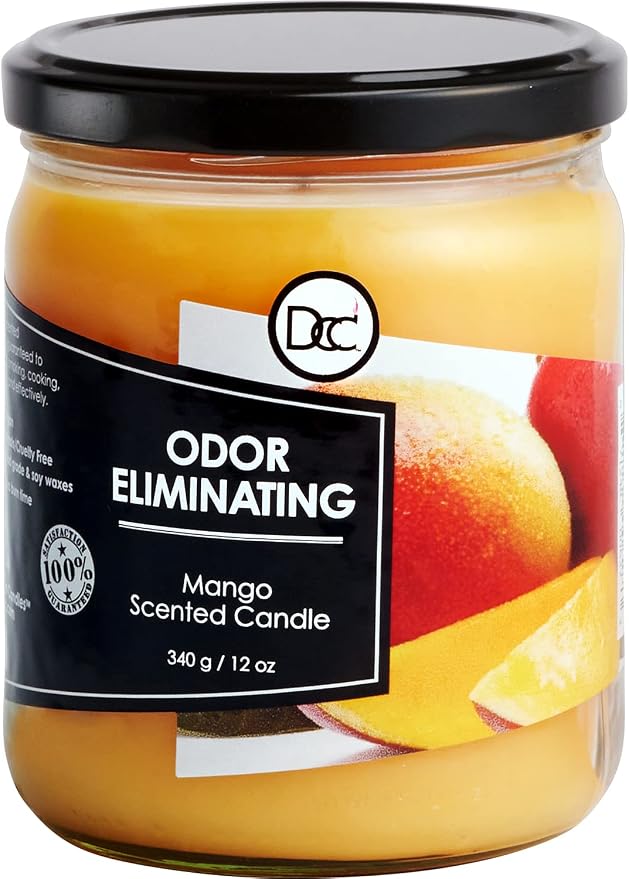 Mango Odor Eliminating Highly Fragranced Candle by DiannesCustomCandles