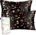 Miss Adola 2 Pack Mulberry Silk Pillowcase by MissAdola