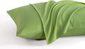 NTBAY Queen Pillow Cases Set of 2, 2 Pack Brushed Microfiber 20x30 Pillow Cases by NTBAY