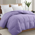 TEXARTIST Premium 2100 Series Queen Comforter All Season Breathable Lavender by TEXARTIST