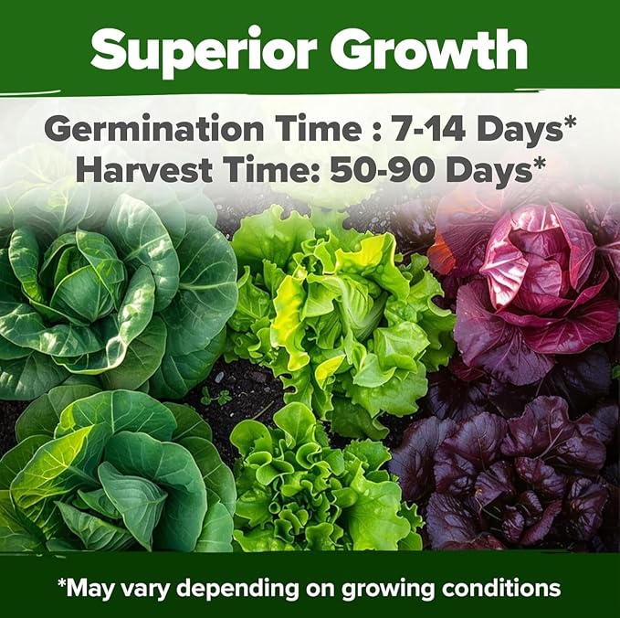 HOME GROWN 20 Variety Lettuce Seeds 21, 700+ Bulk Pack Heirloom Non-GMO - Image 4