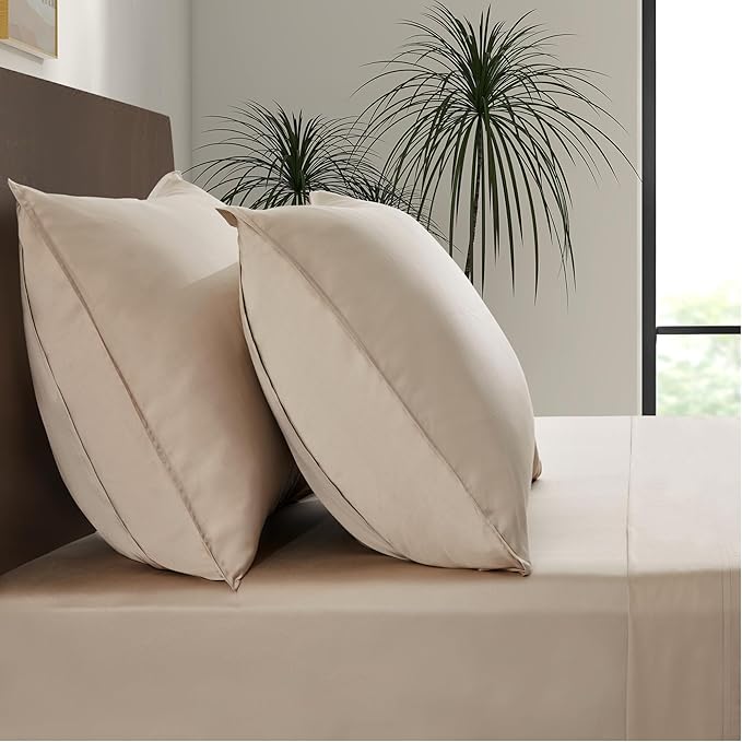 Luxury Bamboo Market | Queen Envelope Pillowcase Set | 100% Viscose Made from by LuxuryBambooMarket