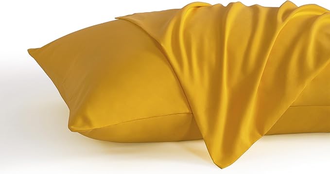 NTBAY Queen Pillow Cases Set of 2, 2 Pack Brushed Microfiber 20x30 Pillow Cases by NTBAY