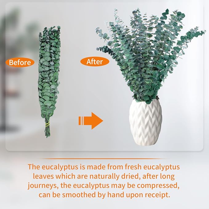 20 Pcs Dried Eucalyptus for Shower - Image 3