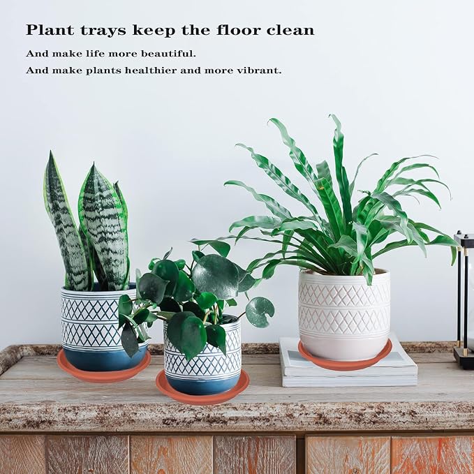 2 Pack of Plant Saucer 12 inch, 12 inch Plastic Plant Drip Trays, Heavy Duty - Image 4