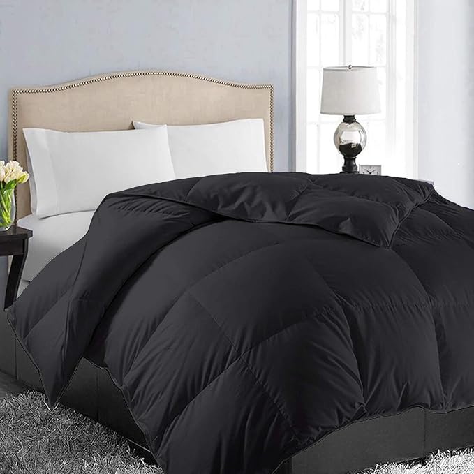 EASELAND Oversized King Down Alternative Comforter by EASELAND