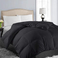EASELAND Oversized Queen Down Alternative Comforter by EASELAND