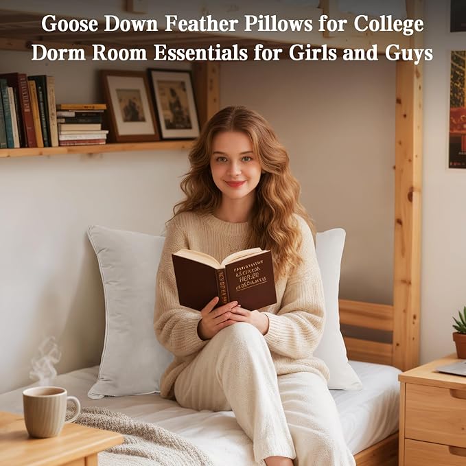 BHZ Goose Down Feather Pillows Queen Size Set of 2, Hotel Collection Bed Pillows - Image 4