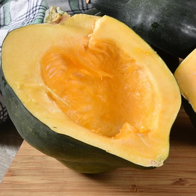 Seed Needs, Table King Acorn Winter Squash Seeds - Image 5