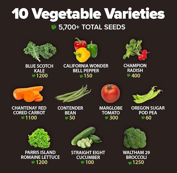 HOME GROWN 10 Variety Survival Seed Vault 2000+ USA Grown Heirloom Non-GMO - Image 3