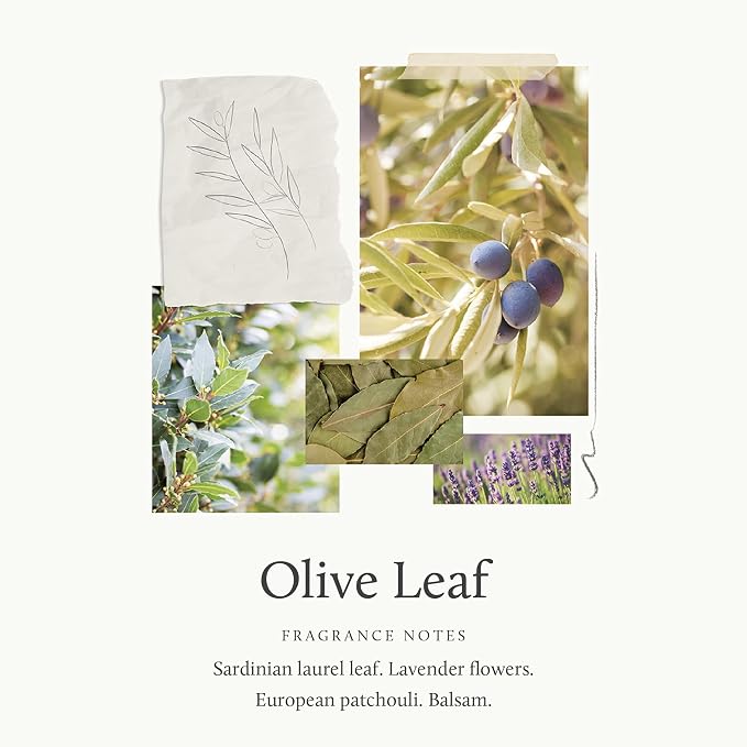 Thymes Home Fragrance Mist – Room Air Fresheners - Image 3