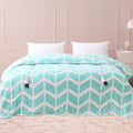 VENTIMI Electric Blanket Queen Size, Fast Heating Blanket by VENTIMI