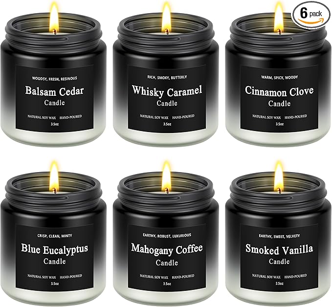 6 Pack Men Candles for Home Scented, Soy Wax 200 Hour Long Lasting Candle by Furnizone
