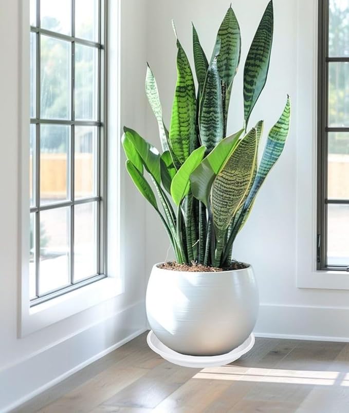 2 Pack of 16 inch Plant Saucer, Large Plant Tray, Heavy Sturdy Plant Drainage - Image 4