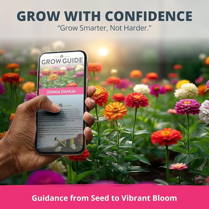 HOME GROWN Zinnia Dahlia Seeds Pack - Image 8