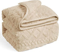 Wemore Weighted Blanket for Adults Twin Size 20 lbs, Dual Sided Soft Fuzzy by WemoreDirect
