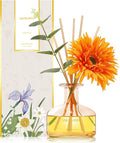 Reed Diffusers Set Grapefruit Scent, 7.10 oz Diffusers by SAUSSVITA