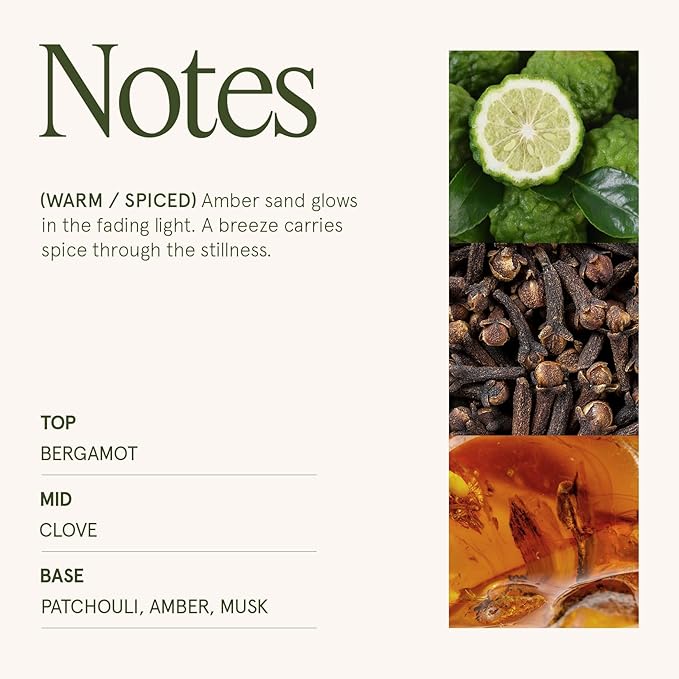 LA JOLIE MUSE Sahara Amber Scented Candle | Bergamot, Clove & Amber | 10 oz Soy - Image 4