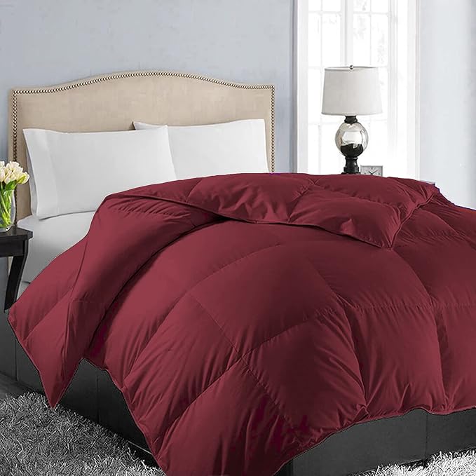 EASELAND Oversized King Down Alternative Comforter by EASELAND
