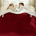 Electric Blanket Queen Size 84" x 90" by Vellubam