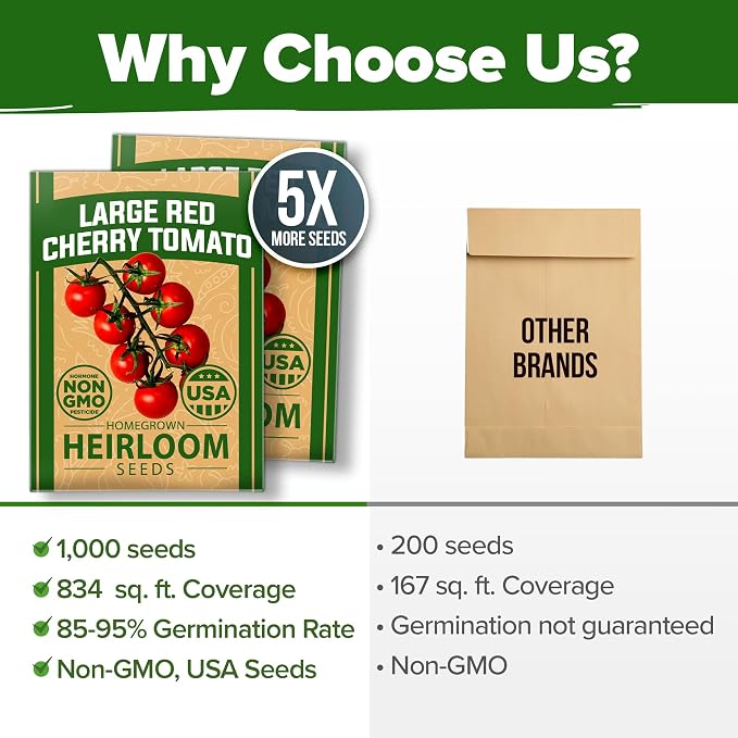 HOME GROWN Large Red Cherry Tomato Seeds 1000+ Heirloom Non-GMO Seeds - Image 7