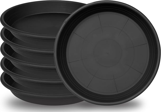 6 Pack of 12 inch Plant Saucer Plant Tray, Plastic Plant Saucer 12 inch by Unknown
