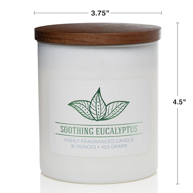 Carolina Soothing Eucalyptus Scented Candle, 16 oz Wellness Relaxing - Image 5