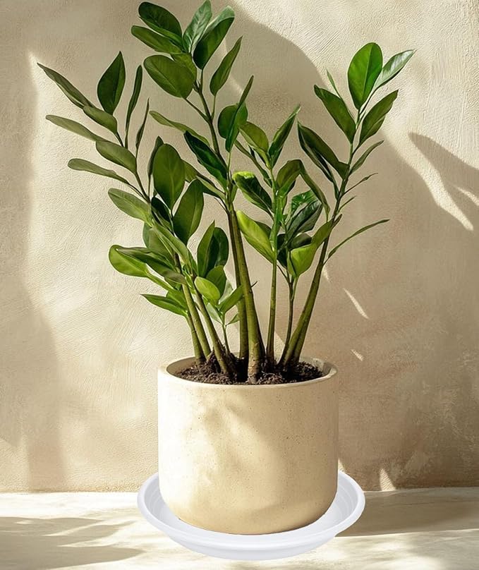 2 Pack of 19 inch Plant Saucer, Large Plant Tray, Heavy Sturdy Plant Drainage - Image 5