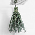 10 Pcs Dried Eucalyptus Stems 17" Real Eucalyptus by FAVOWREATH